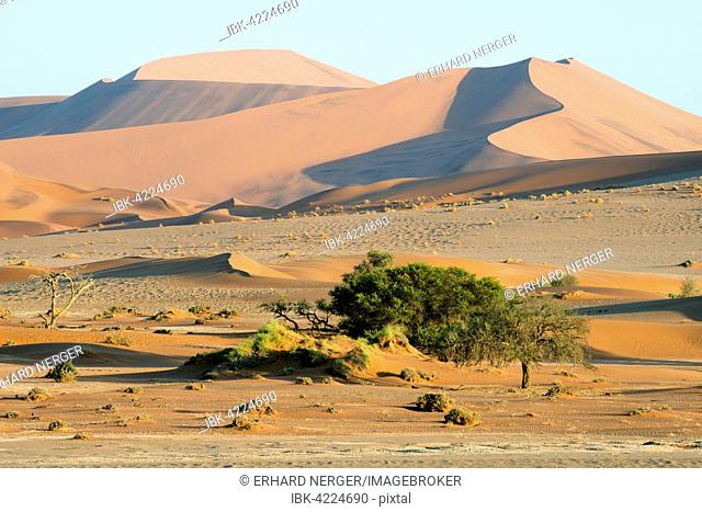 Sand dunes in Namib Desert, Namib-Naukluft National Park, Sossusvlei, Namibia