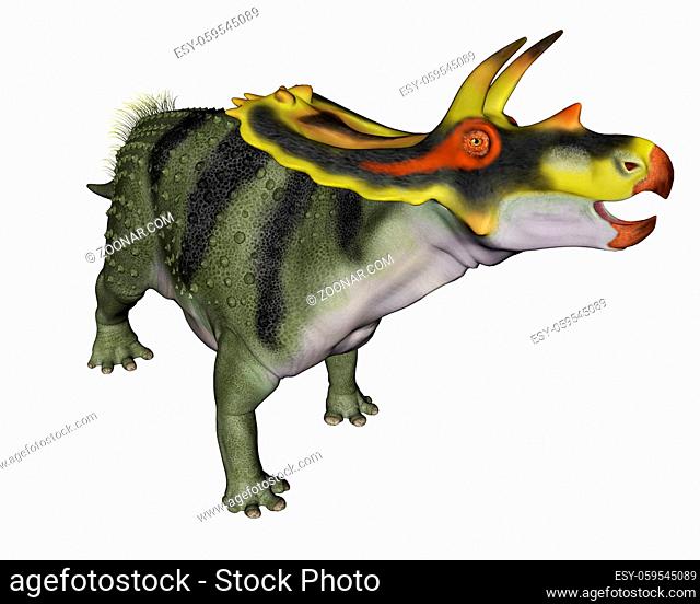 Anchiceratops dinosaur isolated in white background - 3D render