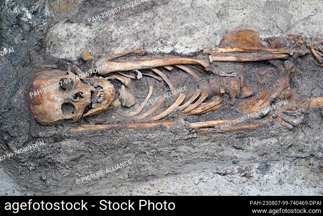 PRODUCTION - 04 August 2023, Schleswig-Holstein, Lübeck: A skeleton lies in the excavation site on Hüxtertorallee. Archaeologists in Lübeck have excavated a...