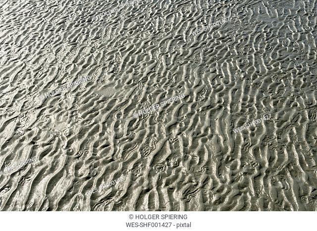 New Zealand, Nelson, structure in the sand at Tahunanui beach at low tide
