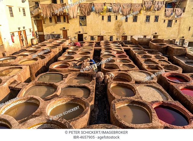 Leather dyeing tanks, dyeing plant, Tannerie Chouara tannery, Fes el Bali tannery and dyeing district, Fez, Morocco