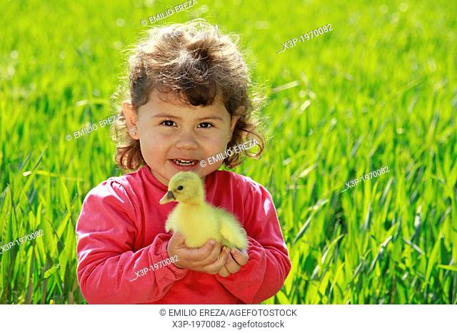 Little girl with goose chick