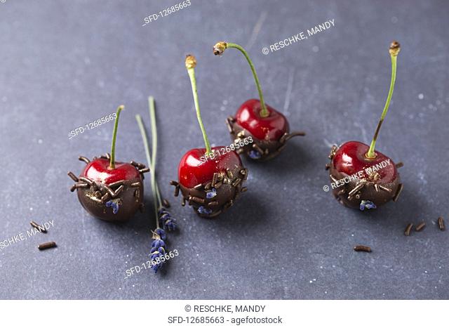 Cherries with chocolate, chocolate sprinkles, lavender flowers and gold powder