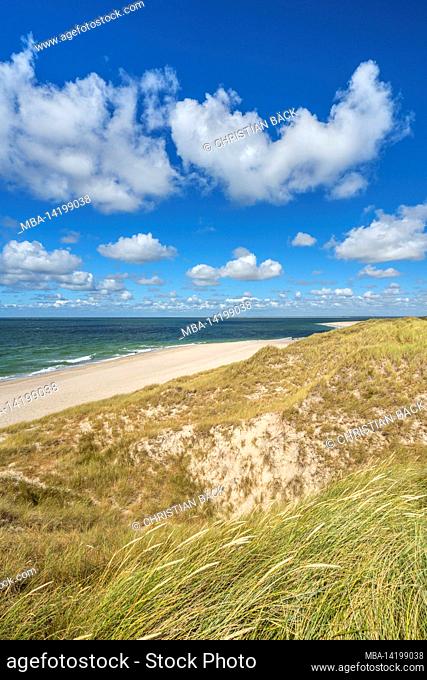 Dunes at the Elbow, List, Sylt Island, Schleswig-Holstein, Germany
