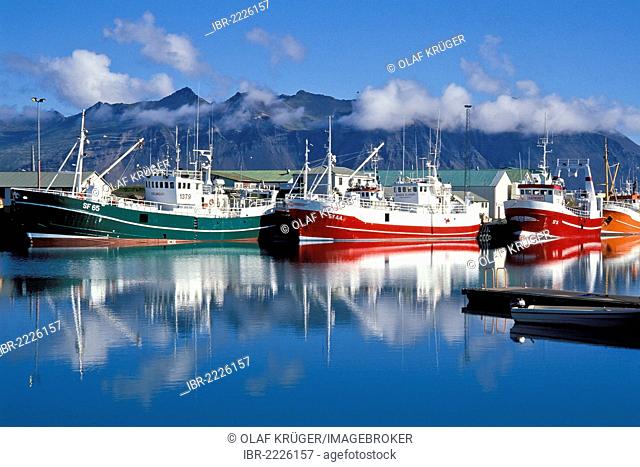 Fishing boats, harbour of Hoefn or Hoefn í Hornafirði, community of Hornafjoerður, East Iceland, Iceland, Europe
