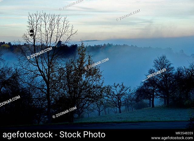 Herbstlandschaft, Nebel, autumn landscape, fog