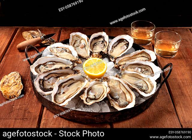 Oysters on a rustic table. A dozen of fresh oysters with lemons and wine on a dark wooden background, with a place for text