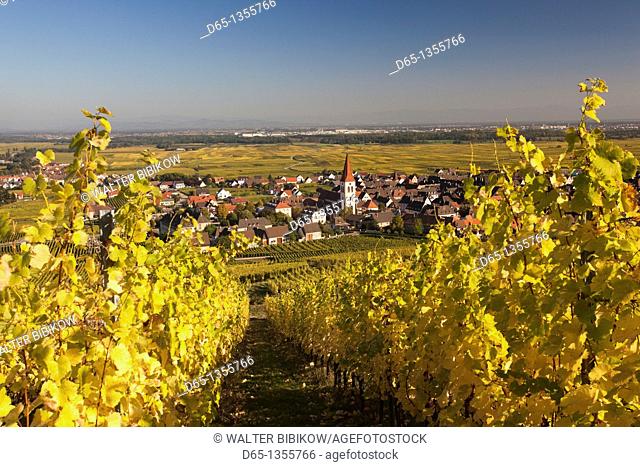 France, Haut-Rhin, Alsace Region, Alasatian Wine Route, Ammerschwihr, afternoon town view, autumn