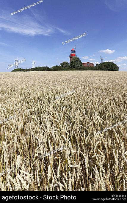 Wheat field with Bastorfer lighthouse, Lighthouse Buk, Bastorf near Kühlungsborn, Baltic Sea, Mecklenburg-Western Pomerania, Germany, Europe