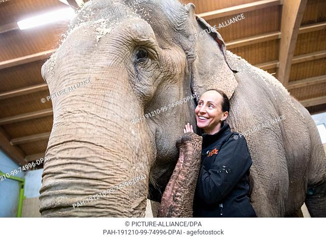 09 December 2019, Bavaria, Munich: Jana-Mandana Lacey-Krone, director of Circus Krone, strokes the Indian elephant cow Bara (44) in the elephant house on the...