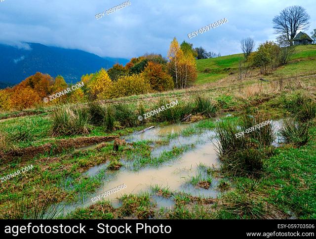 Hazy and overcast autumn Carpathian Mountains and dirty countryside path, Ukraine