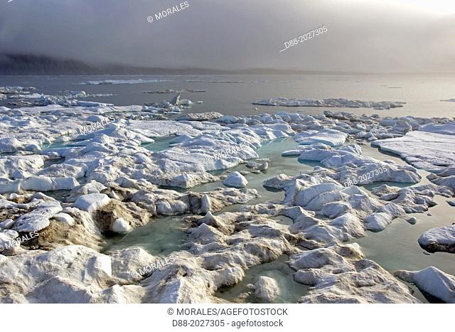 Russia , Chukotka autonomous district , Herald island north east of Wrangel island, pack ice