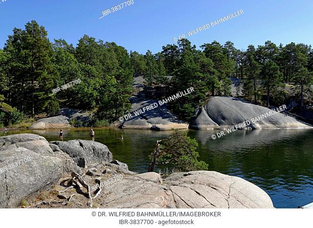 Typical round polished rocks, roches moutonnées, on Finnhamn Island in the Stockholm Middle Archipelago, Stockholm, Sweden