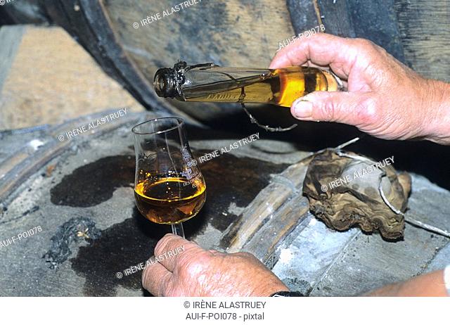 Charente - Jarnac - Champagne - Cognac - Domaine des Tonneaux - le Chai de vieillissement