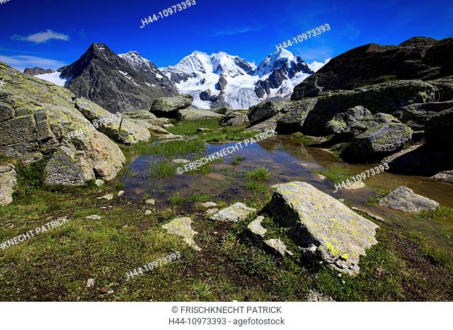 Alps, mountain, mountain panorama, mountain lake, mountains, mountain massif, mountain lake, Biancograt, flowers, Engadine, rock, cliff, Fuorcla Surlej