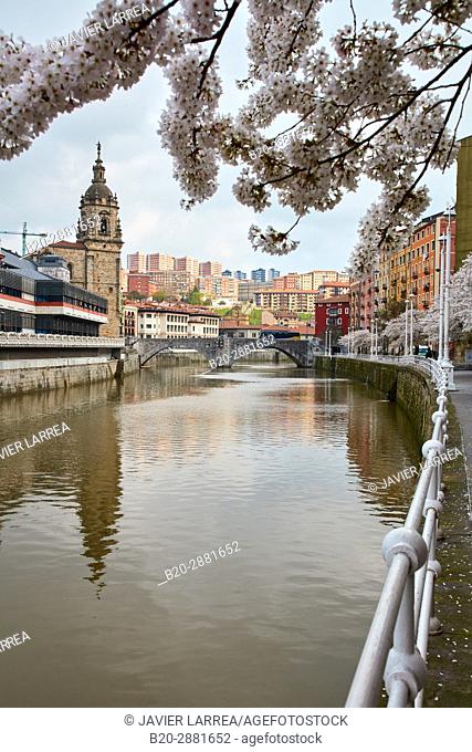 Ria del Nervión, Iglesia y Puente de San Antón, Casco Viejo, Bilbao, Bizkaia, Basque Country, Spain