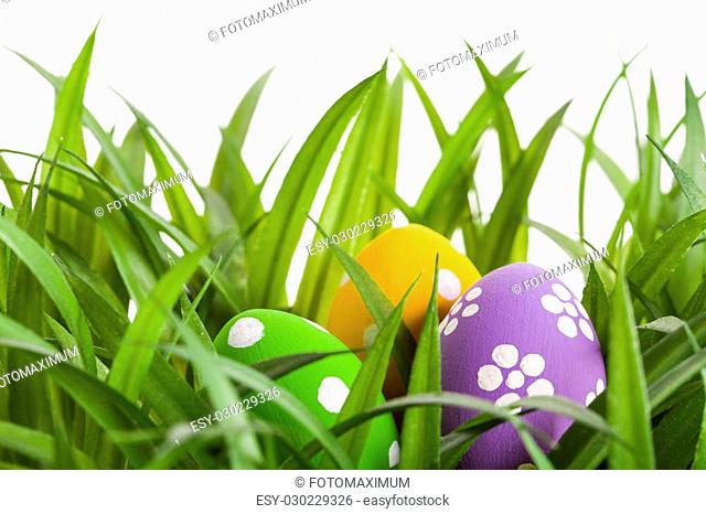 Easter Eggs with flower on Fresh Green Grass over white background