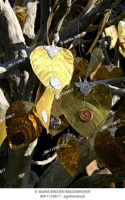 Golden good-luck tree, coins stuck on the leaves, Wat Lok Molee, Wat Lok Moli, temple, Chiang Mai, Thailand, Asia