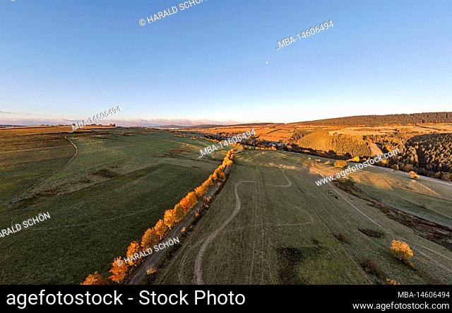 Germany, Thuringia, Großbreitenbach, Friedersdorf, avenue from Wildenspring to Friedersdorf, autumn leaves, meadows, fields, aerial view, morning light