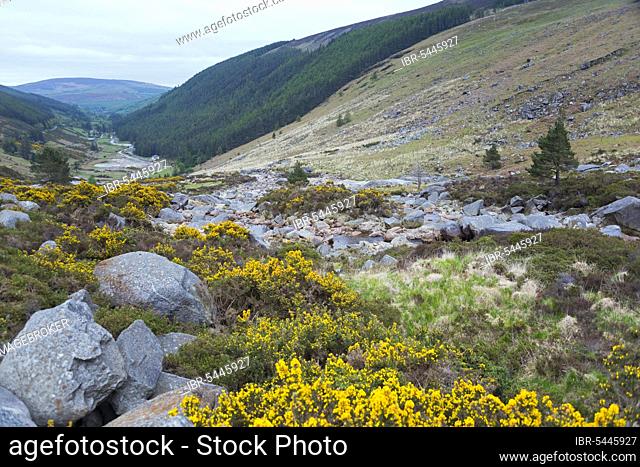 Wicklow Gap, Wicklow Mountains, County Wicklow, Ireland, Europe