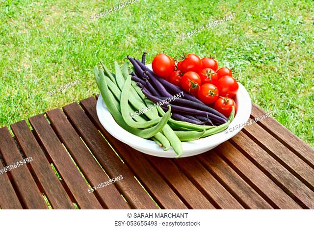 Freshly harvested Calypso beans, French beans and cherry tomatoes in a dish on a wooden picnic table in a garden