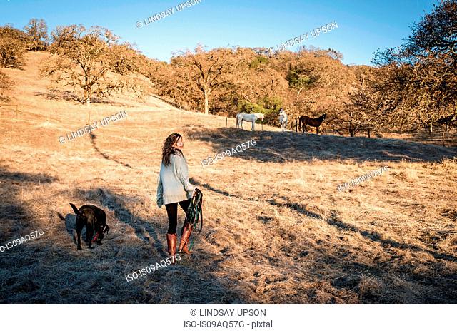 Young woman and dog walking through field carrying horse tack