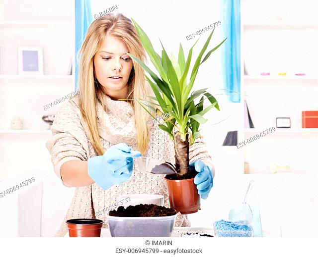 Young blond woman transplant plant in a bigger pot