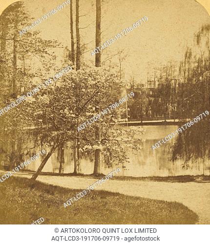 Crescent Water, Greenwood Cemetery, Deloss Barnum (American, 1825 - 1873), about 1859, Albumen silver print