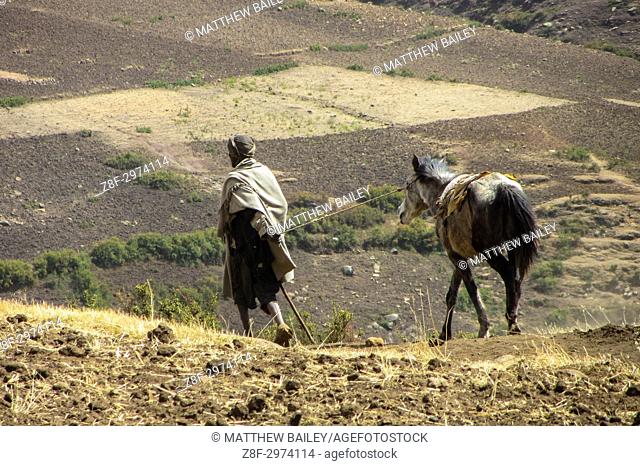 An Ethiopian Villager / Shepherd walks his horse in the Simien Mountains of Northern Ethiopia