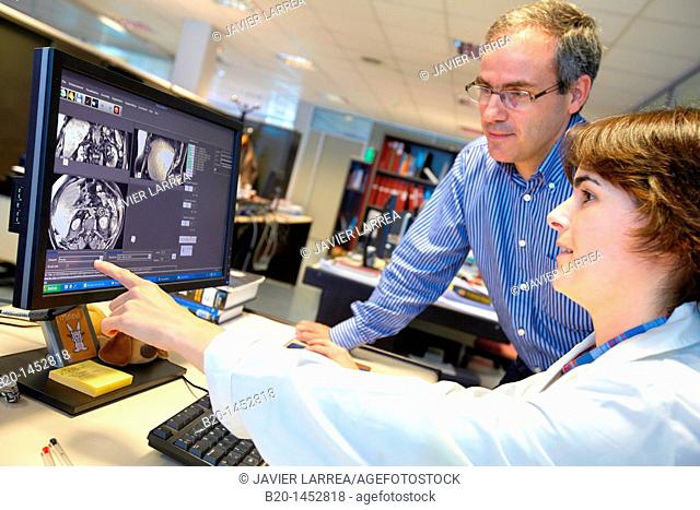Medical images such as MRI processing techniques, Segmentation, Analysis and Diagnosis, Internet of Things lab, Tecnalia Research & Innovation, Zamudio, Bizkaia