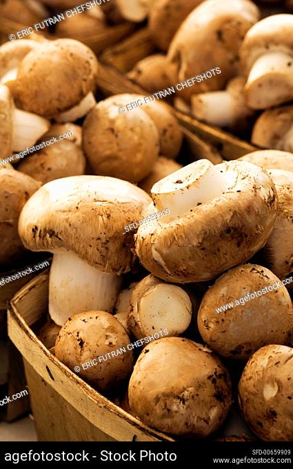 Organic Mushrooms in Baskets