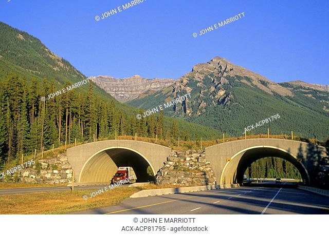 Wildlife overpass on the Trans-Canada Highway in Banff National Park, Alberta, Canada in the Canadian Rockies