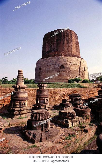 Dhamek Stupa, Sarnath ruins near Varanasi. Uttar Pradesh, India