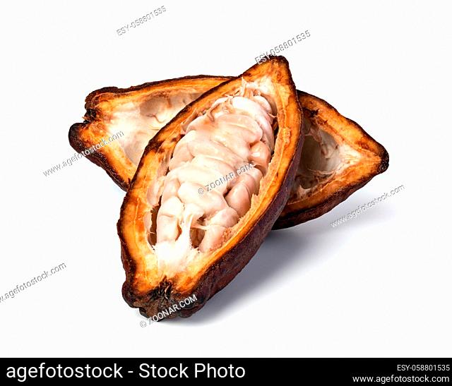 Cocoa pod on a isolated white background