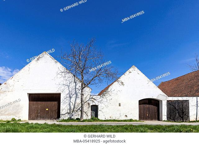 Row of houses with farmhouses, Purbach am Neusiedler See, Burgenland, Austria
