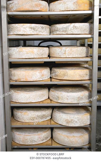 Cheeses stored in order of age