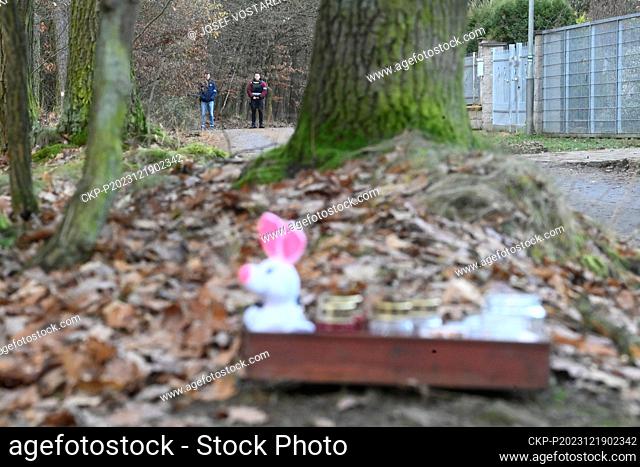 Dozens of police officers comb the Klanovice Forest, Prague, Czech Republic since the morning of December 19, 2023. The reason for the security search is double...