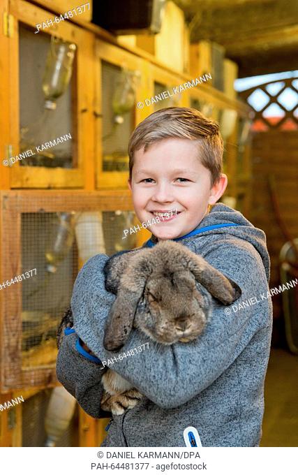 Tim Behringer, Junior European rabbit breeding champion, holds a German Kleinwidder rabbit in his arms in Zirndorf, Germany, 09 December 2015