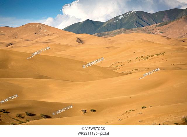 Desert scenery of Inner Mongolia, China