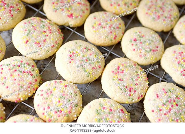 Freshly baked sugar cookies with sprinkles cooling on a rack