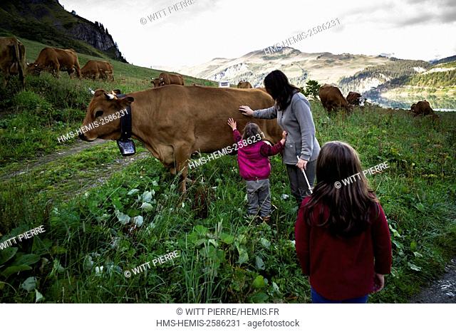 France, Savoie, Beaufortain valley, Beaufort sur Doron, chalet des Plaches, Yvon and Nathalie Mollier-Ribbet and their daughters Mélanie and Eden