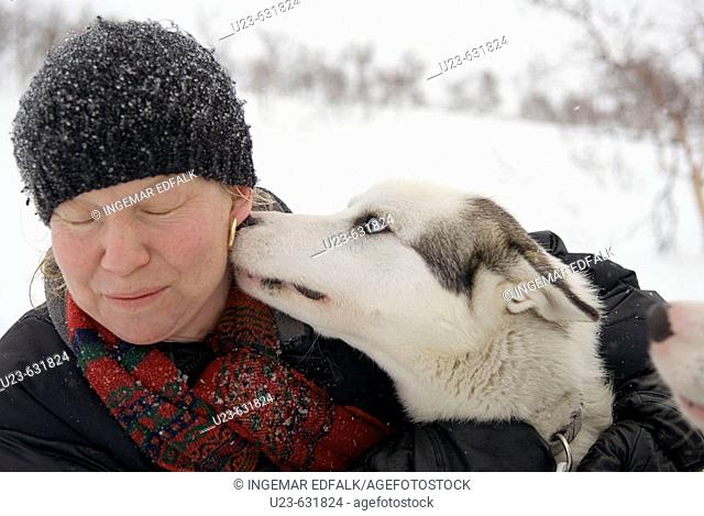 Woman with sledgedog. Sweden