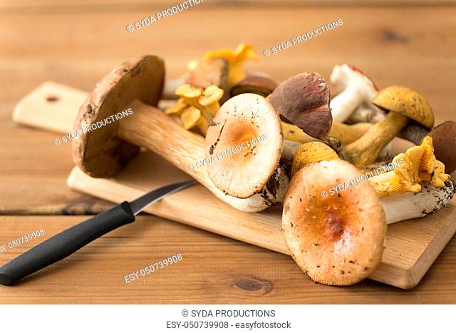 edible mushrooms on wooden cutting board and knife