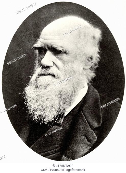 Charles Darwin (1809-82), English Naturalist, Portrait, circa 1878