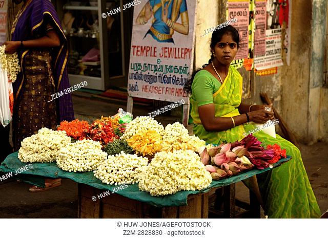 Kabaleeshwarar Temple Market Chennai (Madras), Tamil Nadu, South India, Asia