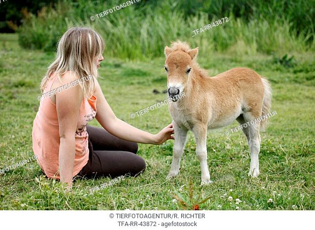 woman and Miniature Shetland Pony foal