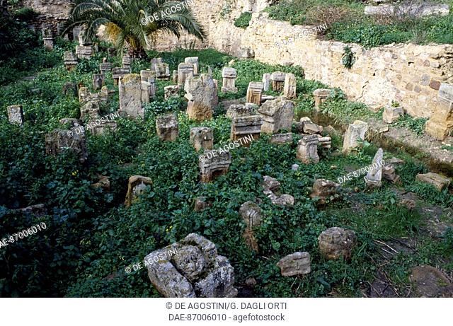 Phoenician-Punic Tanit and Baal Hammon Tophet (sanctuary), Archaeological Site of Carthage (Unesco World Heritage List, 1979), Tunisia