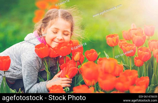 Cute girl picking red tulips in bouquet in the garden. Toddler enjoying and trying to smell beautiful flowers