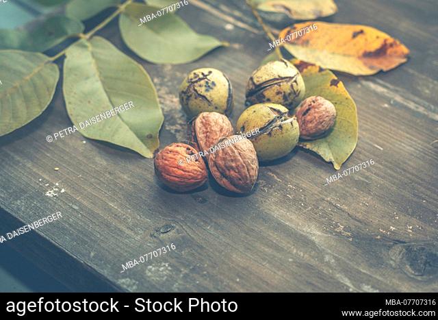 Harvest time - walnuts (Juglans regia) lying out to dry in the sun