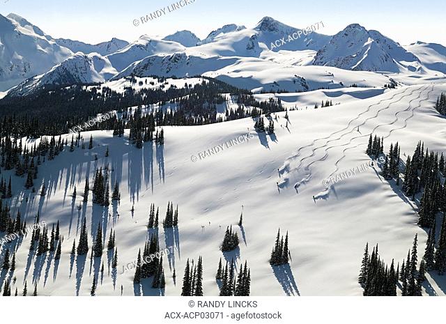 aerial of skiers in flute bowl, whistler mountain, british columbia, Canada